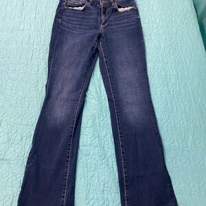 American Eagle Outfitters Blue Flare Wide Leg Jeans